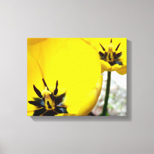 Yellow Tulip Canvas Print Leinwanddruck