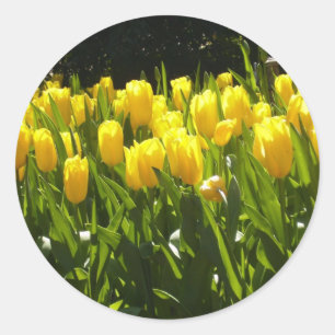 Yellow Tulip Garden Runder Aufkleber