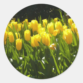Yellow Tulip Garden Runder Aufkleber