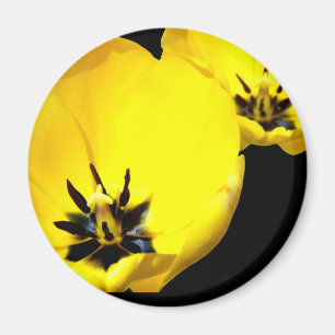 Yellow Tulip Magnet