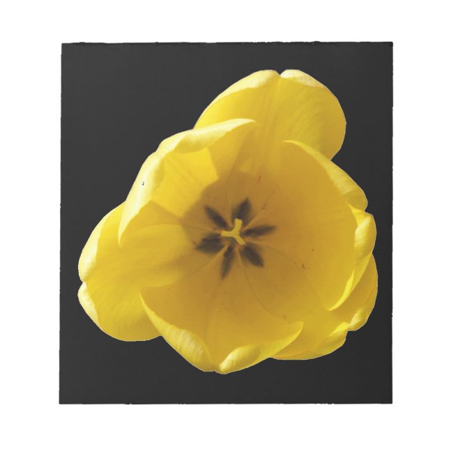 Yellow Tulip Notepad Notizblock (Vorderseite)