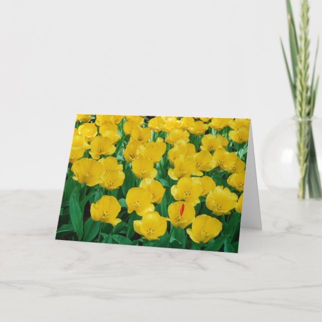 Yellow Tulips Card Karte (Vorderseite)