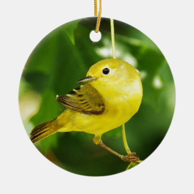 Yellow Warbler Keramik Ornament (Vorne)