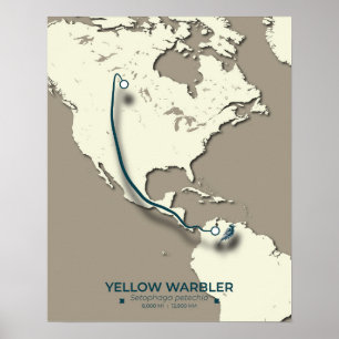 Yellow Warbler Migration Map - Minimalistisch Vint Poster