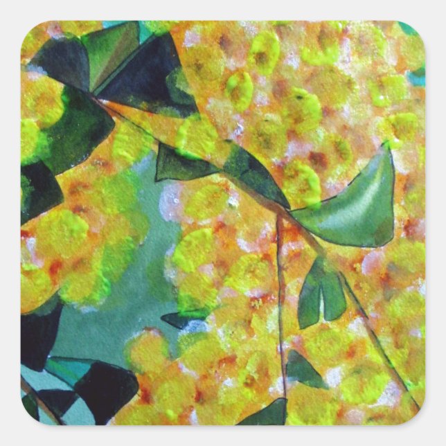 Yellow Wattle, australische Blume Quadratischer Aufkleber (Vorderseite)