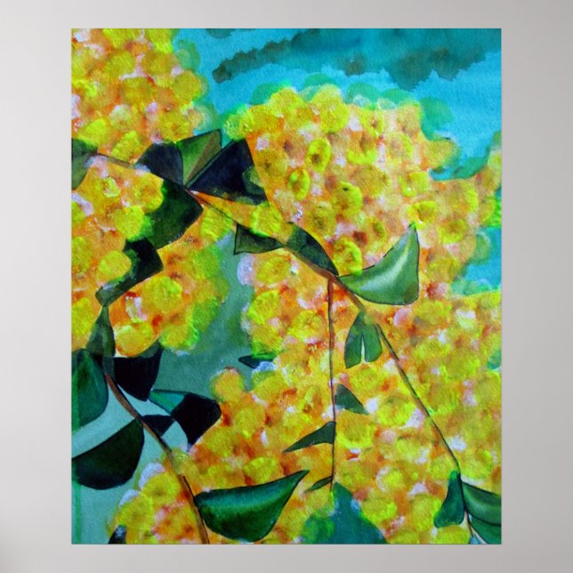 Yellow Wattle, australisches Kunstposter der Blume Poster (Vorne)