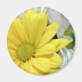 Yellow White Daisy Daisis Blume Blume Foto Magnet