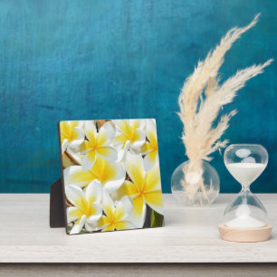 Yellow White Frangipani Bouquet, Fotoplatte