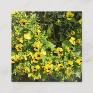 Yellow Wildflower Garden Nature Photography Square Quadratische Visitenkarte