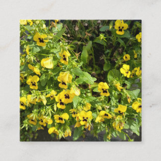 Yellow Wildflower Garden Nature Photography Square Quadratische Visitenkarte