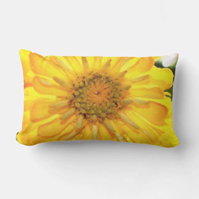 Yellow Zinnia Lendenkissen (Vorderseite)