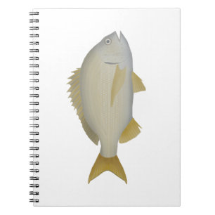 Yellowfin Bream Notizblock