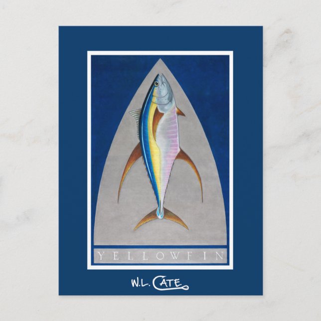 Yellowfin Postkarten (Vorderseite)