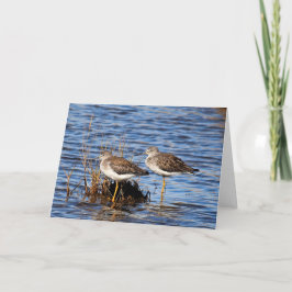Yellowlegs-Foto-Karte Karte
