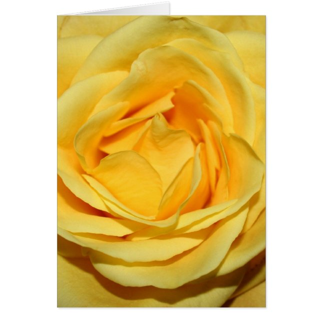 yellowrosecard (Devant)