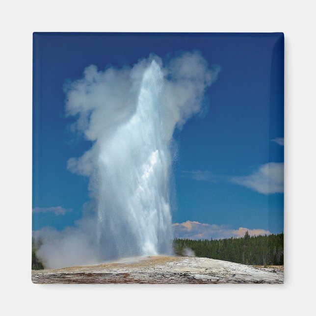 Yellowstone Altes treues Foto Magnet (Vorne)