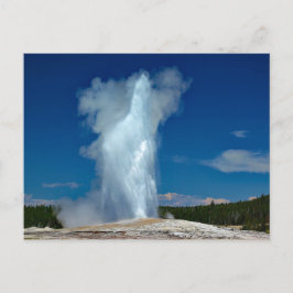 Yellowstone Altes treues Foto Postkarte