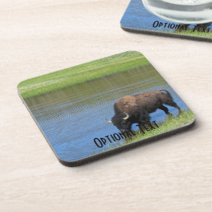 Yellowstone American Bison in Pond Getränkeuntersetzer