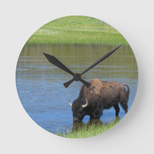 Yellowstone American Bison in Pond Runde Wanduhr