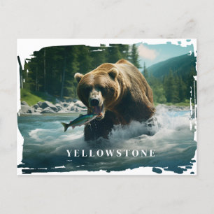 Yellowstone Bären Postkarte