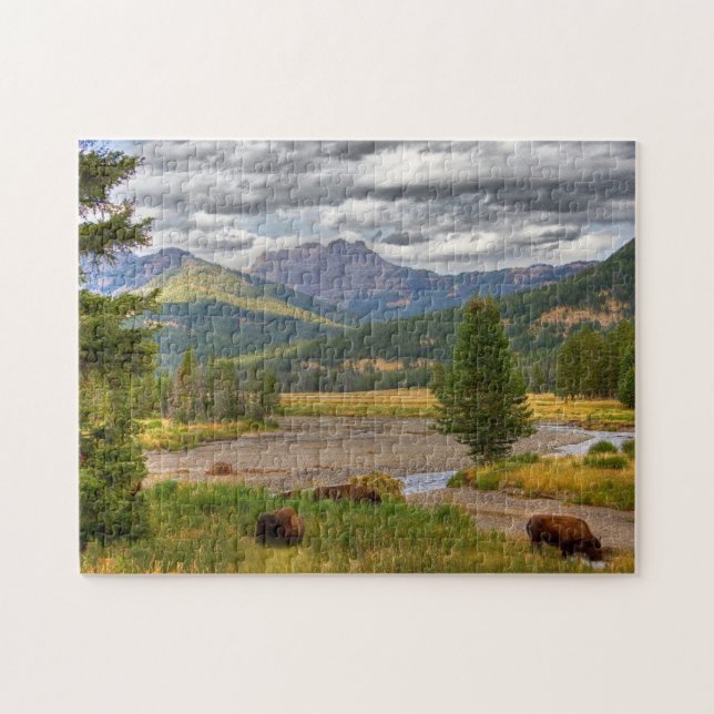 Yellowstone-Bison (Horizontal)