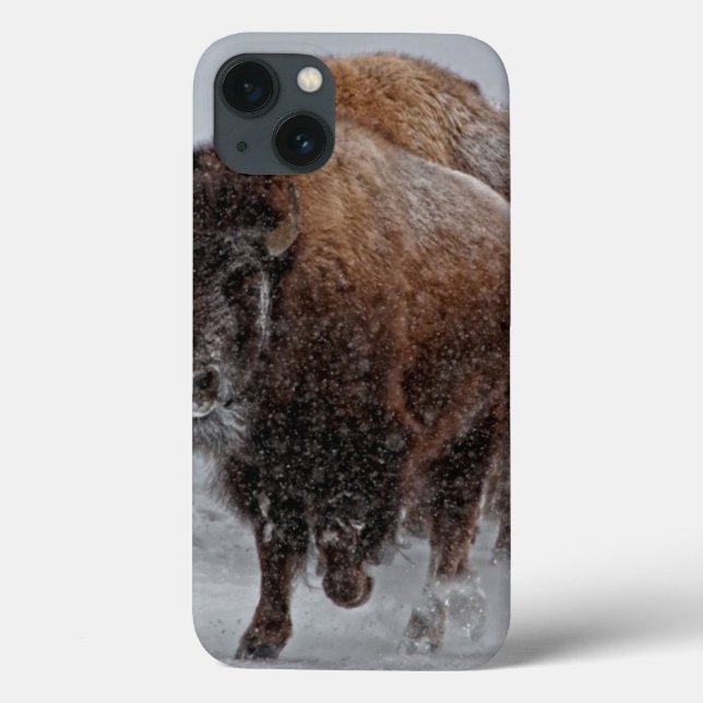 Yellowstone-Bison Case-Mate iPhone Hülle (Rückseite)