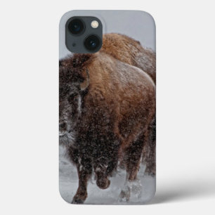 Yellowstone-Bison Case-Mate iPhone Hülle