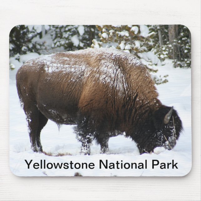 Yellowstone-Bison im Winter Mousepad (Vorne)