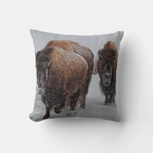 Yellowstone-Bison Kissen (Vorderseite)