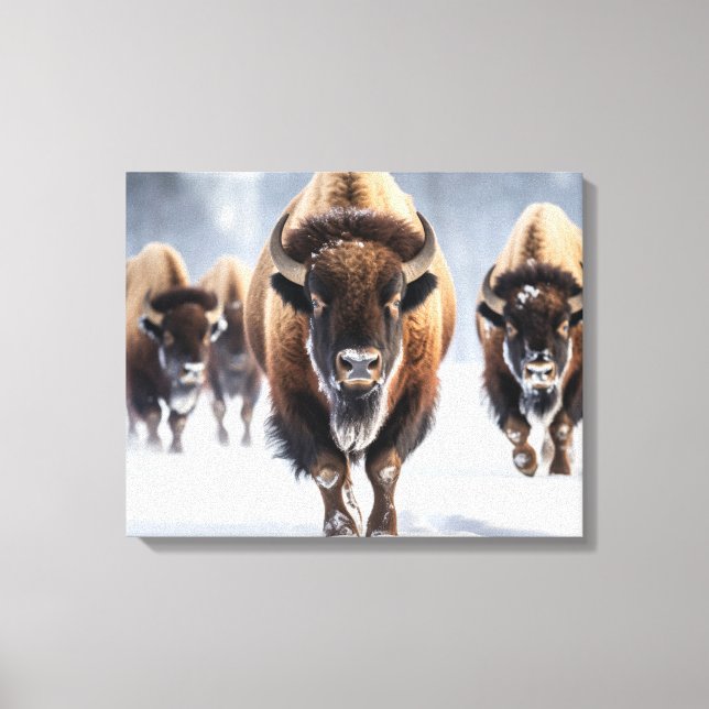 Yellowstone Bison Leinwand Art (Vorderseite)