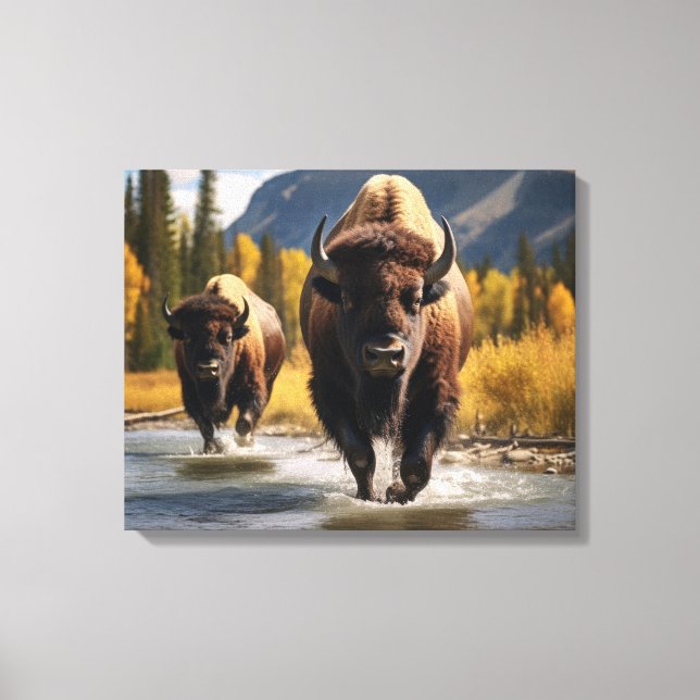 Yellowstone Bison Leinwand Art (Vorderseite)