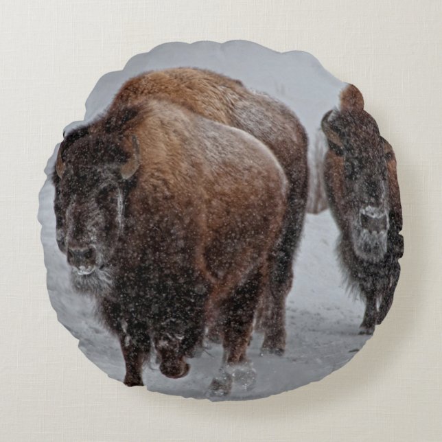 Yellowstone-Bison Rundes Kissen (Vorderseite)