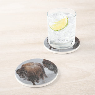 Yellowstone-Bison Sandstein Untersetzer