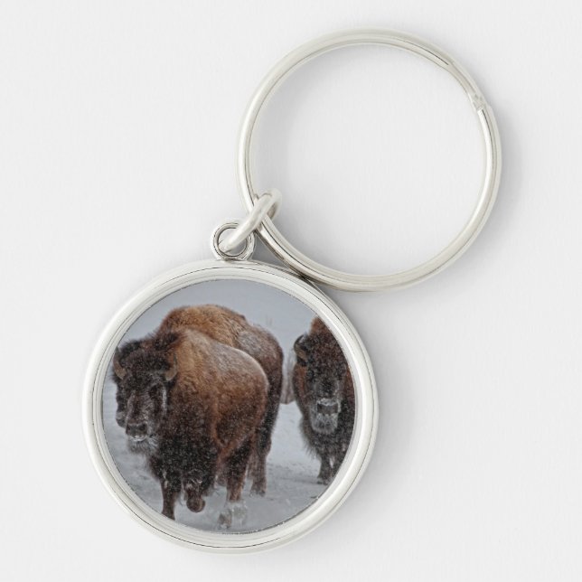 Yellowstone-Bison Schlüsselanhänger (Vorne)