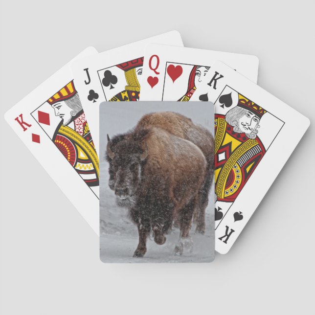 Yellowstone Bisons Spielkarten (Rückseite)