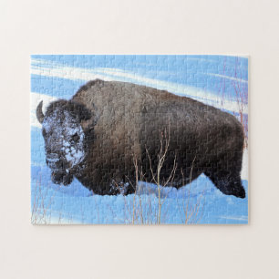 Yellowstone-Bisons stehen im tiefen Schnee