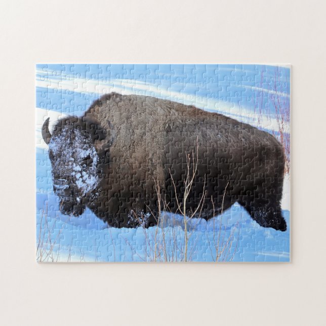 Yellowstone-Bisons stehen im tiefen Schnee (Horizontal)