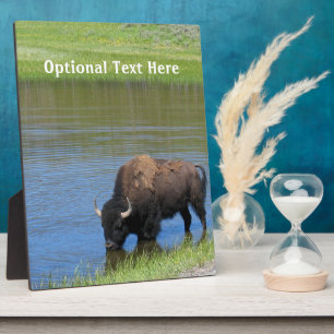 Yellowstone Buffalo Souvenir Fotoplatte