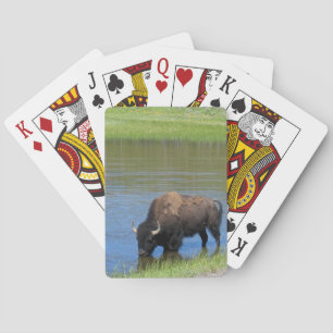 Yellowstone Buffalo Souvenir Spielkarten
