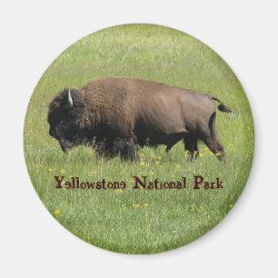 Yellowstone-Büffel-Magnet Magnet