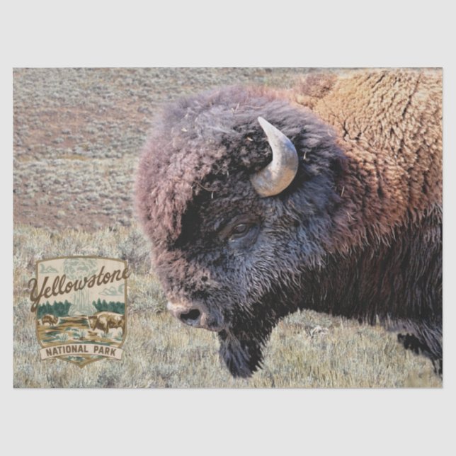 Yellowstone-Büffel mit Park-Logo Seidenpapier (Vorderseite)