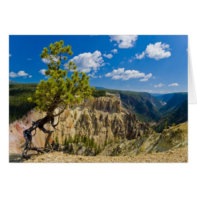 Yellowstone Canyon Edge (Vorderseite (Horizontal))