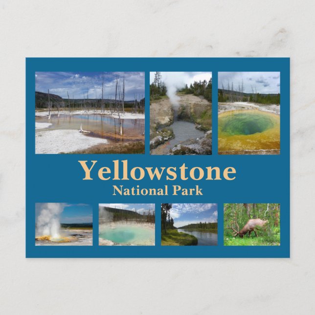 Yellowstone Collage 3 Postkarte (Vorderseite)