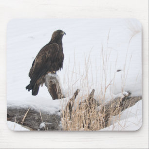 Yellowstone goldenes Eagle Mousepad