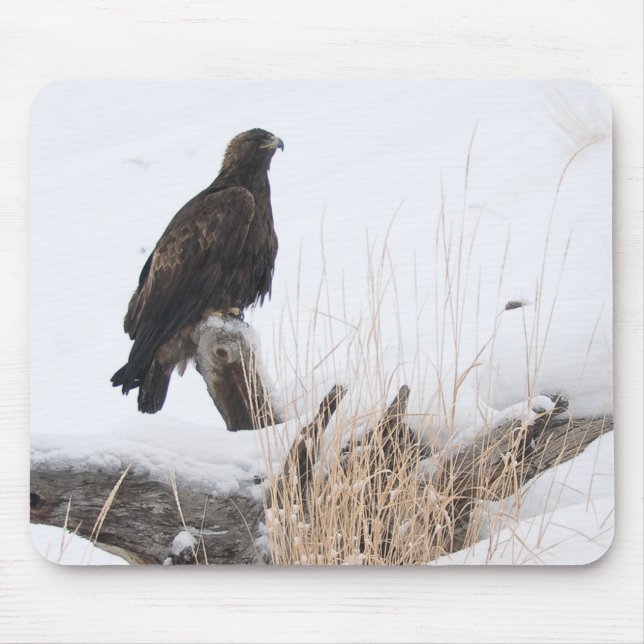 Yellowstone goldenes Eagle Mousepad (Vorne)