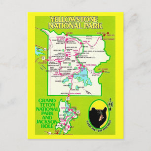 Yellowstone - Grand Teton Postkarte