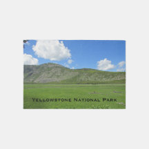 Yellowstone Green Meadow Foto National Park