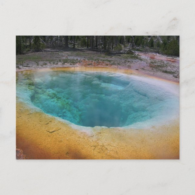 Yellowstone Hot Spring Postkarte (Vorderseite)
