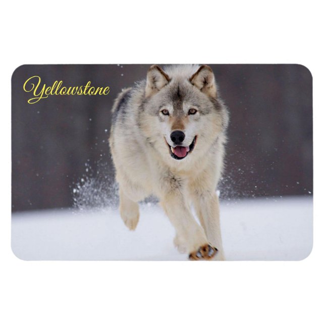 Yellowstone Magnet-Wolf Magnet (Horizontal)