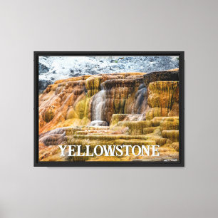 Yellowstone-Mammutfedern Leinwanddruck